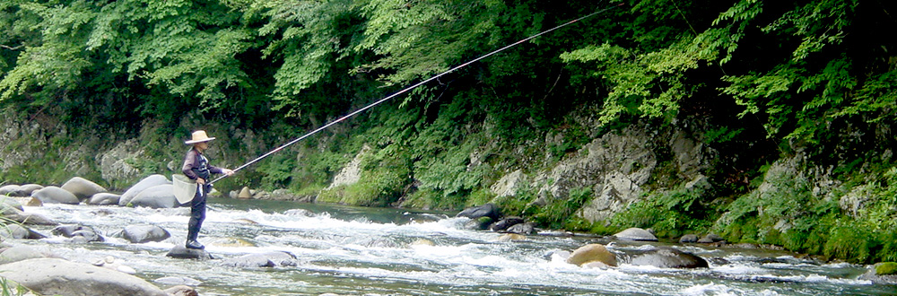 真夏も涼しげなアマゴ釣り風景