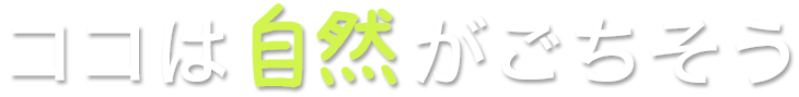 ココは自然がごちそう